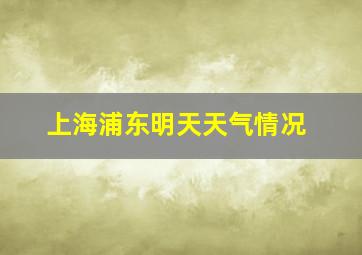 上海浦东明天天气情况