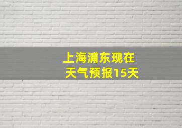 上海浦东现在天气预报15天