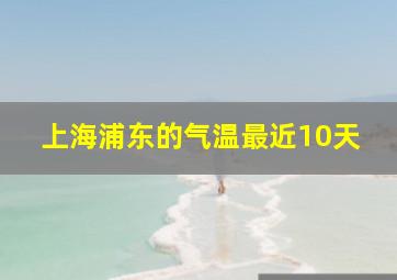 上海浦东的气温最近10天