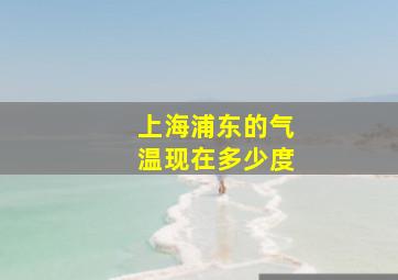 上海浦东的气温现在多少度