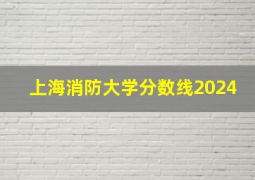 上海消防大学分数线2024