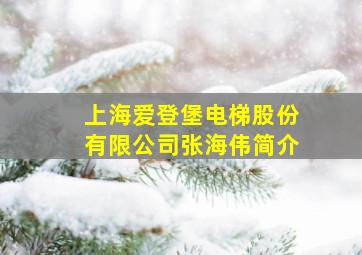 上海爱登堡电梯股份有限公司张海伟简介