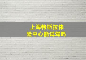 上海特斯拉体验中心能试驾吗