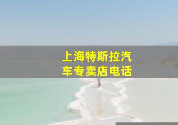 上海特斯拉汽车专卖店电话