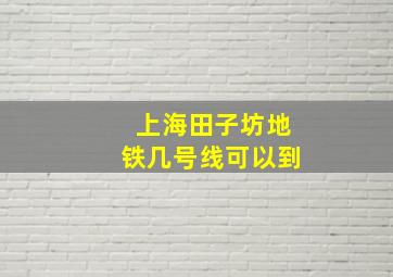 上海田子坊地铁几号线可以到