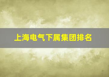 上海电气下属集团排名