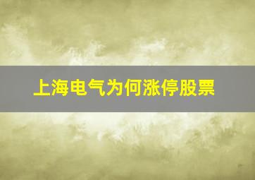 上海电气为何涨停股票