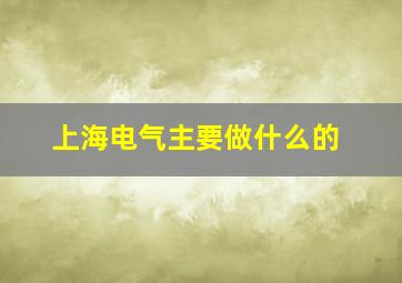 上海电气主要做什么的