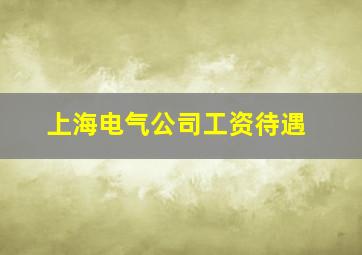 上海电气公司工资待遇