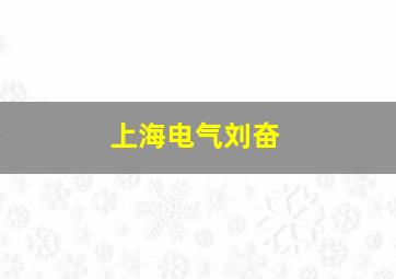 上海电气刘奋