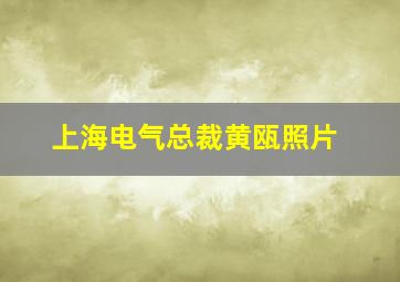 上海电气总裁黄瓯照片