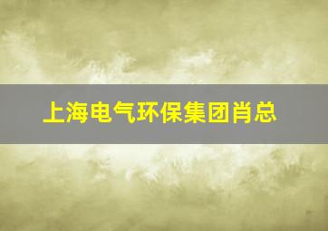 上海电气环保集团肖总