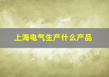 上海电气生产什么产品