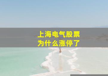 上海电气股票为什么涨停了