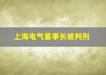 上海电气董事长被判刑