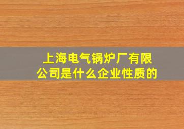 上海电气锅炉厂有限公司是什么企业性质的