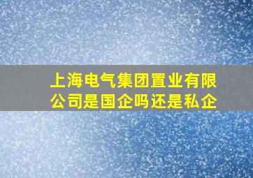 上海电气集团置业有限公司是国企吗还是私企