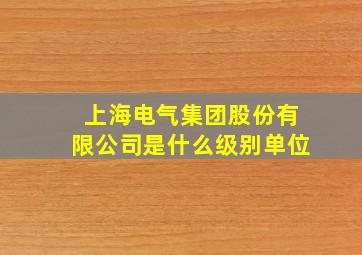 上海电气集团股份有限公司是什么级别单位