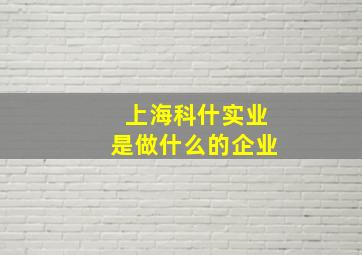 上海科什实业是做什么的企业