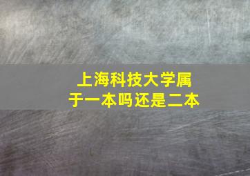 上海科技大学属于一本吗还是二本