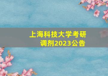 上海科技大学考研调剂2023公告