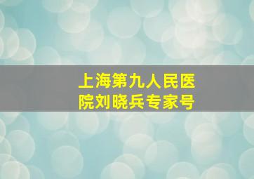 上海第九人民医院刘晓兵专家号