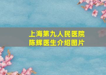 上海第九人民医院陈辉医生介绍图片