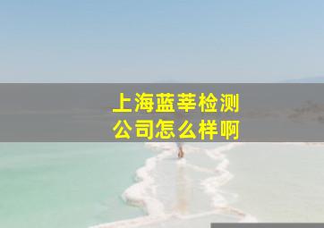 上海蓝莘检测公司怎么样啊