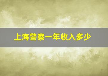 上海警察一年收入多少