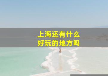 上海还有什么好玩的地方吗