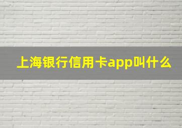 上海银行信用卡app叫什么