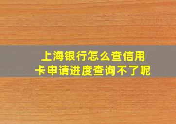 上海银行怎么查信用卡申请进度查询不了呢