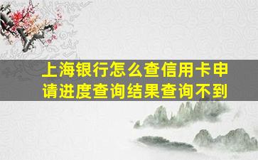 上海银行怎么查信用卡申请进度查询结果查询不到