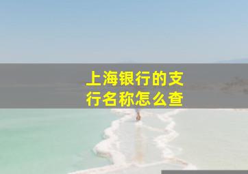 上海银行的支行名称怎么查