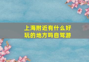 上海附近有什么好玩的地方吗自驾游