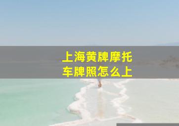 上海黄牌摩托车牌照怎么上