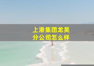 上港集团龙吴分公司怎么样