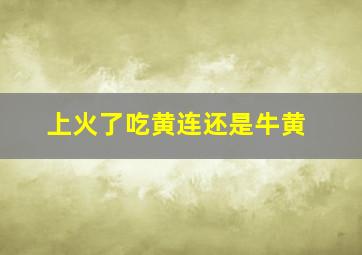 上火了吃黄连还是牛黄