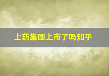 上药集团上市了吗知乎