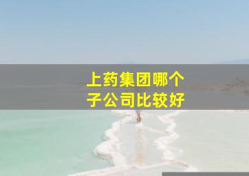 上药集团哪个子公司比较好