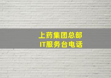 上药集团总部IT服务台电话