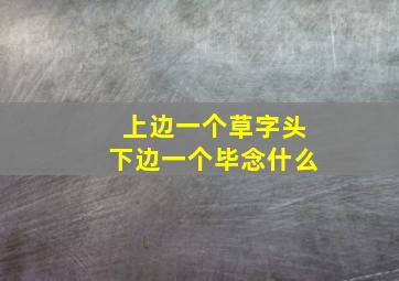 上边一个草字头下边一个毕念什么