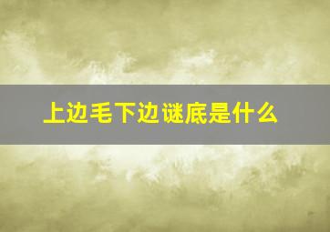 上边毛下边谜底是什么