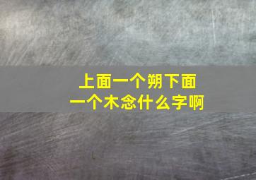 上面一个朔下面一个木念什么字啊