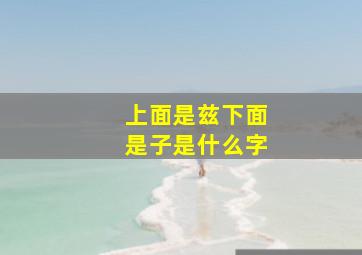 上面是兹下面是子是什么字