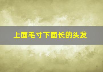 上面毛寸下面长的头发