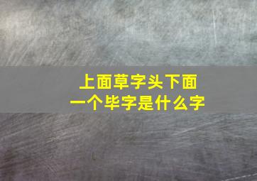 上面草字头下面一个毕字是什么字