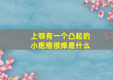 上颚有一个凸起的小疙瘩很痒是什么