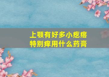 上颚有好多小疙瘩特别痒用什么药膏