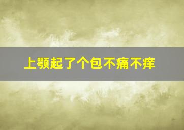 上颚起了个包不痛不痒